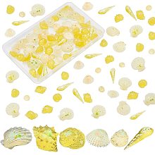 PandaHall Elite 96pcs Shell Slime Charms, 6 Styles Conch Shell Scallop Cabochons Tiles Ocean Sea Resin Flatback Slime Beads for Summer Hawaii Craft Making Ornament Scrapbook Phone Case Decor