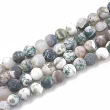 Honeyhandy Natural Tree Agate Beads Strands, Frosted, Round, 8mm, Hole: 1mm, about 47pcs/strand, 15.5 inch