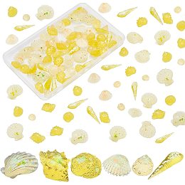 PandaHall Elite 96pcs Shell Slime Charms, 6 Styles Conch Shell Scallop Cabochons Tiles Ocean Sea Resin Flatback Slime Beads for Summer Hawaii Craft Making Ornament Scrapbook Phone Case Decor