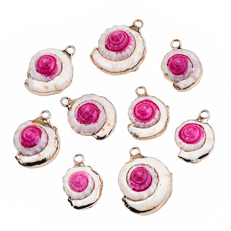 ARRICRAFT Shell Pendants, with Golden Plated Brass Edge and Loop, Dyed, Deep Pink, 22~27x15.5~21x7~12mm, Hole: 2mm
