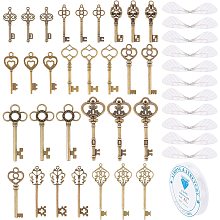 SUNNYCLUE 61Pcs Flying Keys Charms Vintage Keys Kit 10 Styles Dragonfly Wings Charm Keys with Fabric Dragonfly Wings & 11 Yards Elastic Crystal String for DIY Art Craft Jewelry Making Crafts