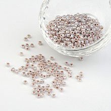 ARRICRAFT 8/0 Ceylon Round Glass Seed Beads, Rosy Brown, Size: about 3mm in diameter, hole:1mm, about 1101pcs/50g