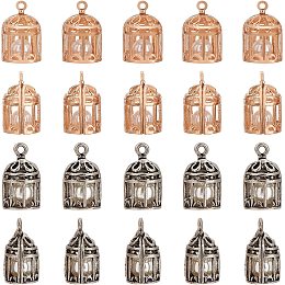 ARRICRAFT 20 Pcs Cage Pendants, Alloy Pearl Bead Cages Pendant Locket Cage Charms with Imitation Pearl Beads for Bracelet Necklace Earrings Jewelry Making