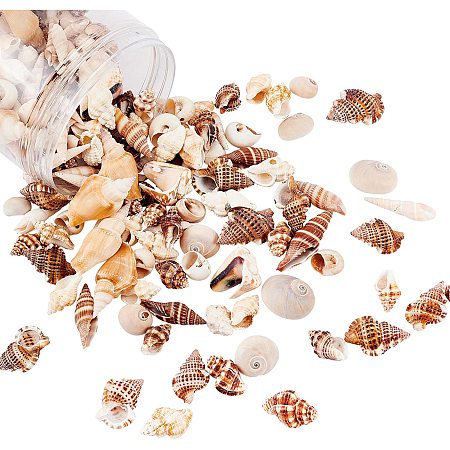 PandaHall Elite About 400g Mixed Ocean Beach Spiral Seashells Craft Charms for Home Decorations, Beach Theme Party, Candle Making, Wedding Decor, DIY Crafts, Fish Tank and Vase Filler