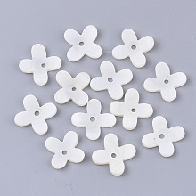 Honeyhandy Freshwater Shell Beads, Flower, Seashell Color, 15x16x3mm, Hole: 1.6mm