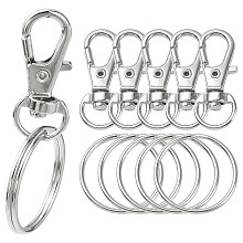 DIY Keychain Making Kit, Including Alloy Swivel Lobster Claw Clasps, Iron Split Key Rings, Platinum, 10Pcs/bag