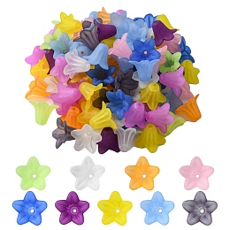 Honeyhandy Transparent Acrylic Beads, Frosted, Flower, Mixed Color, 17.5x12mm, Hole: 1.5mm