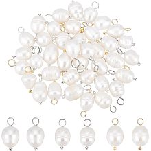 BENECREAT 42Pcs 3 Color Natural Freshwater Pearl Charms, Baroque Pearls Pendant for DIY Necklace Bracelet Jewelry Making Accessories