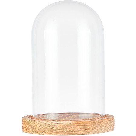 NBEADS Glass Display Dome Cloche, Glass Display with Wood Pedestal Half Round Clear Glass Jewelry Display Case for Item Display Home Decoration