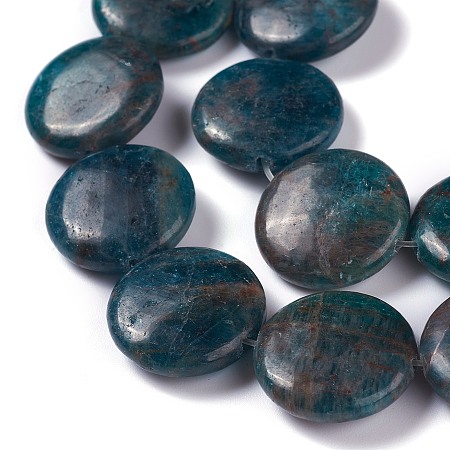 ARRICRAFT Natural Apatite Beads Strands, Flat Round, 20x6~7mm, Hole: 0.8mm, about 20pcs/strand, 15.75 inches(40cm)