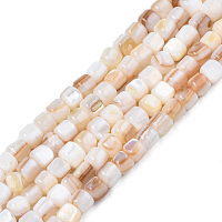 Natural Freshwater Shell Beads Strands, Column, 3.5~4x3.5mm, Hole: 0.9mm, about 107~108pcs/strand, 14.76 inch~15.28 inch(37.5~38.8cm)