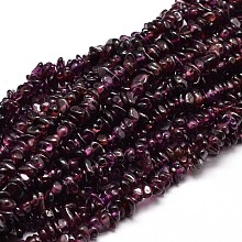 Honeyhandy Natural Garnet Chip Beads Strands, 5~14x4~10mm, Hole: 1mm, about 15.5 inch~16.1 inch