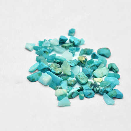 Arricraft Synthetic Turquoise Chip Beads, No Hole/Undrilled, 2~8x2~4mm, about 170pcs/10g