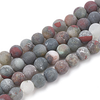 Arricraft Natural African Bloodstone Beads Strands, Heliotrope Stone Beads, Frosted, Round, 6mm, Hole: 1mm, about 63pcs/strand, 15.5 inches