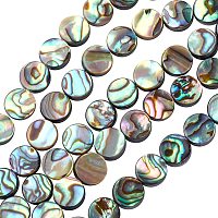 BENECREAT 30 Packs Natural Abalone Shell Coin Flat Round Abalone Shell Beads with Storage Containers for DIY Jewelry Making, 8x3mm