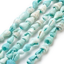 Honeyhandy Spiral Shell Beads Strands, Dyed, Aquamarine, 6mm, Hole: 0.5~1mm, about 150~170pcs/strand, 56 inch(142.2cm)