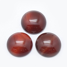 Honeyhandy Natural Carnelian Cabochons, Half Round, Dyed, 24.5~25x4~7mm