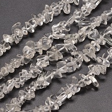 Honeyhandy Glass Chip Bead Strands, Clear, 5~8x5~8mm, Hole: 1mm, about 31.5 inch