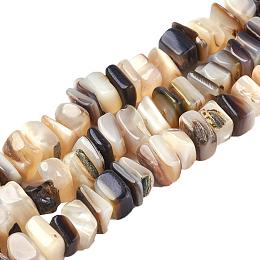 ARRICRAFT 5 Stands Square Chip Freshwater Shell Bead Strands Seashells Natural Gemstone Beads for Necklace, Bracelet, Jewelry Making, Home and Wedding Decor (15.7")