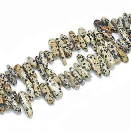 Honeyhandy Natural Dalmatian Jasper Beads Strands, Chip, 10~30x5~10x3~9mm, Hole: 1mm, about 65~85pcs/strand, 14.9 inch