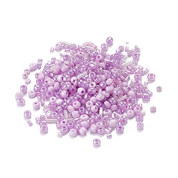 Honeyhandy Glass Seed Beads, Mixed Style, Mixed Shapes, Medium Orchid, 1~7x2~4mm, Hole: 0.7~1mm