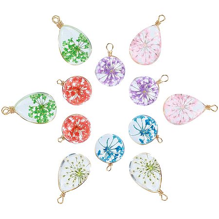 SUNNYCLUE DIY Earring  Making, with Glass Pendants, with Dried Flower Inside & Brass Findings, Round & Teardrop, Mixed Color, 22~24x13x8mm, 19x14mm, hole: 2mm,12pcs/set