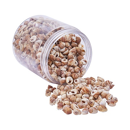 PandaHall Elite 1Box About 550-600Pcs Turbo Sea Shell with Holes for Craft DIY Jewelry Making 10-12mm Length