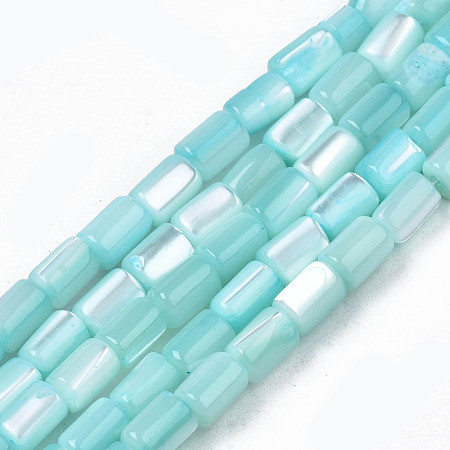 Honeyhandy Natural Trochid Shell/Trochus Shell Beads Strands, Dyed, Column, Pale Turquoise, 4~5x3~3.5mm, Hole: 0.9mm, about 77~78pcs/strand, 15.55 inch~15.75 inch(39.5~40cm)