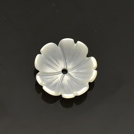 Honeyhandy Flower Natural White Shell Beads, Mother of Pearl Shell Beads, Old Lace, 10x3mm, Hole: 0.5mm