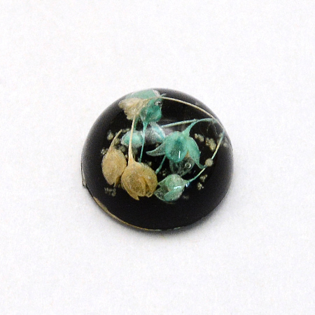 Honeyhandy Luminous Resin Cabochons, Half Round/Dome, with Dried Flower inside, Black, 11.5~12x6~6.5mm