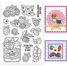 BENECREAT Fruit Clear Stamps, Berry Raspberry Leaves Transparent Silicone Stamps for Card Making Decoration and DIY Scrapbooking Album, 6.3x4.3Inch