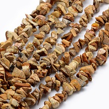 Honeyhandy Natural Picture Jasper Beads Strands, Chip, 5~8mm, Hole: 1mm, about 33 inch(84cm)