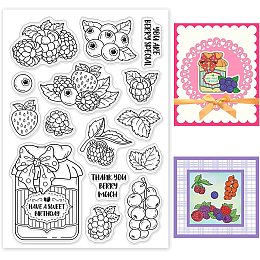 BENECREAT Fruit Clear Stamps, Berry Raspberry Leaves Transparent Silicone Stamps for Card Making Decoration and DIY Scrapbooking Album, 6.3x4.3Inch