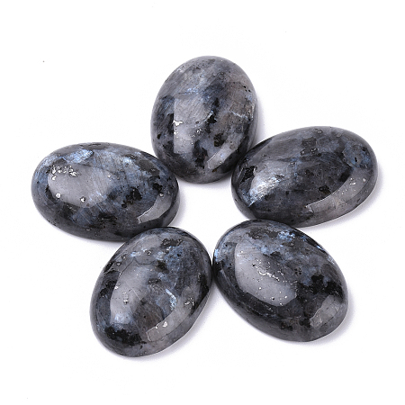 Honeyhandy Natural Labradorite Cabochons, Oval, Dyed, 25x18x7~8mm