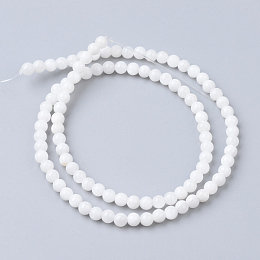 Honeyhandy Natural Freshwater Shell Bead Strands, Round, 4mm, Hole: 0.5mm, about 99pcs/strand, 15.7 inch