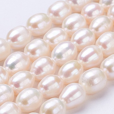Honeyhandy Grade AA Natural Cultured Freshwater Pearl Beads Strands, Oval, Old Lace, 7~9x6~7mm, Hole: 0.5mm, about 44~45pcs/strand, 14.2 inch