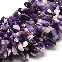 Honeyhandy Natural Amethyst Nuggets Bead Strands, 14~27x5~13mm, Hole: 1mm, 16 inch