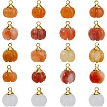 SUPERFINDINGS 20Pcs Natural Jade stones Charms Pumpkin Design Dangle Charms Autumn Mixed Colors Ball Round Exquisite Pendants Charms for Jewelry Making Bracelet Earrings Charms 10x7.5mm