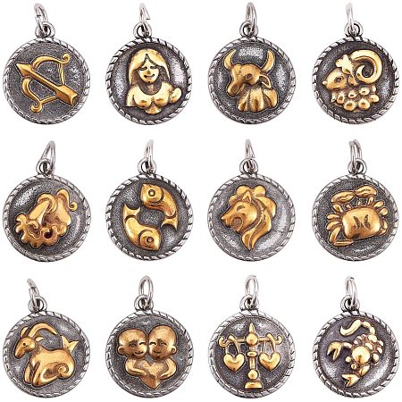 PandaHall Elite 12pcs/Set Golden 316 Stainless Steel Horoscope Twelve Constellation Zodiac Sign Pendant Charms for DIY Bracelets Necklaces Jewelry Making Findings Supplies Personalized Accessories