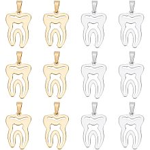 DICOSMETIC 12Pcs 2 Color Dental Theme Charm Hollow Teeth Charm Golden Dental Pulp Charm Stainless Steel Charm Gifts for Dental student Bracelet Key Chain Crafts Jewelry Making, Hole: 10x4mm