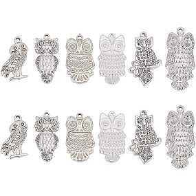 UNICRAFTALE 12pcs 6 Styles Stainless Steel Owl Pendants Bird Animals Pendant Hollow Metal Owl Charm Necklace Hypoallergenic Charms for Jewelry Making 2-2.5mm Hole