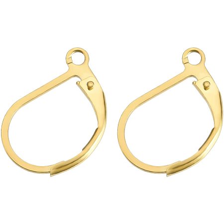 BENECREAT 40PCS Gold Leverback Earring Findings 316 Stainless Steel Leverback Earring Hooks for DIY Earring Jewelry Making, Hole: 1mm