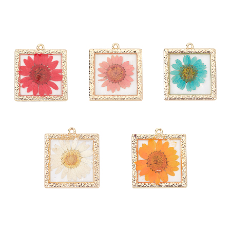 CHGCRAFT Epoxy Resin Pendants, with Dried Flower Inside and Light Gold Plated Alloy Open Back Bezel, Square, Mixed Color, 34x30x2mm, Hole: 1.8mm, 5 colors, 2pcs/color, 10pcs/box