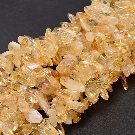 Arricraft Natural Citrine Chip Beads Strands, 8~30x5~12mm, Hole: 1mm, about 15.3 inches~15.7 inches
