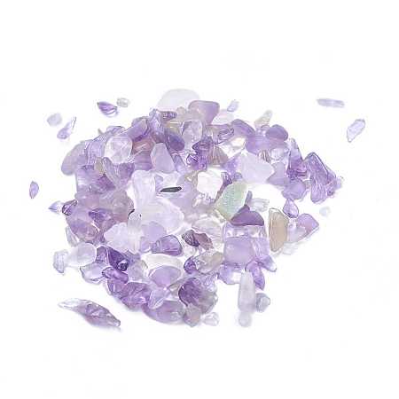 Arricraft Natural Amethyst Chip Beads, No Hole/Undrilled, 2~8x2~4mm, about 8500pcs/500g