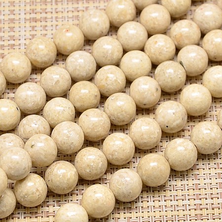 Arricraft Natural Fossil Round Beads Strands, 8mm, Hole: 1mm,  about 41pcs/strand, 15.7 inches