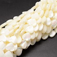 ARRICRAFT Natural Trochid Shell/Trochus Shell Beads Strands, Heart, Creamy White, 12x12x4mm, Hole: 1mm, about 35pcs/strand, 15.75 inches