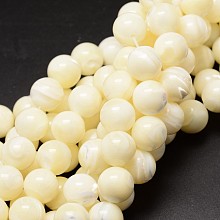 Honeyhandy Natural Sea Shell Beads Strands, Round, Creamy White, 12mm, Hole: 1mm, about 33pcs/strand, 15.75 inch