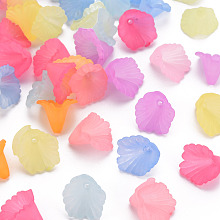 Honeyhandy Frosted Acrylic Bead Caps, Flower, Mixed Color, 12x12x9mm, Hole: 1.2mm, about 1700pcs/500g