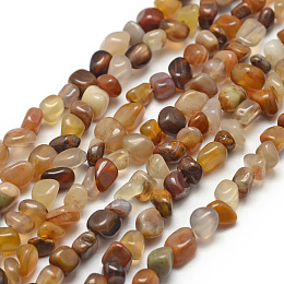 Honeyhandy Natural Petrified Wood Beads Strands, Nuggets, 3~5x3~5x3~8mm, Hole: 1mm, about 85~90pcs/strand, 15.7 inch(40cm)